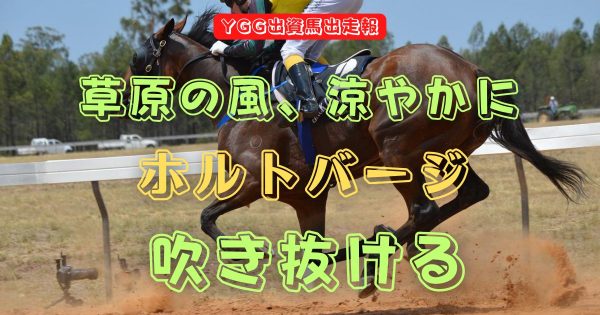 草原の風、涼やかに　ホルトバージ　吹き抜ける